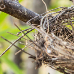 How To Prepare Financially For An Empty Nest.